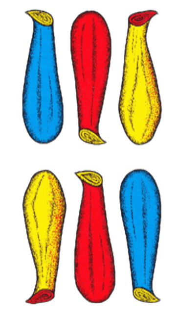 Sei di bastoni - carta romagnola da stampare in PNG