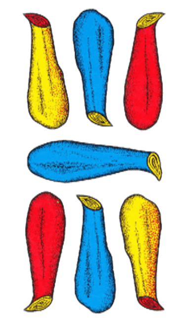 Sette di bastoni - carta romagnola da stampare in PNG